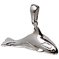 Pendentif Orque